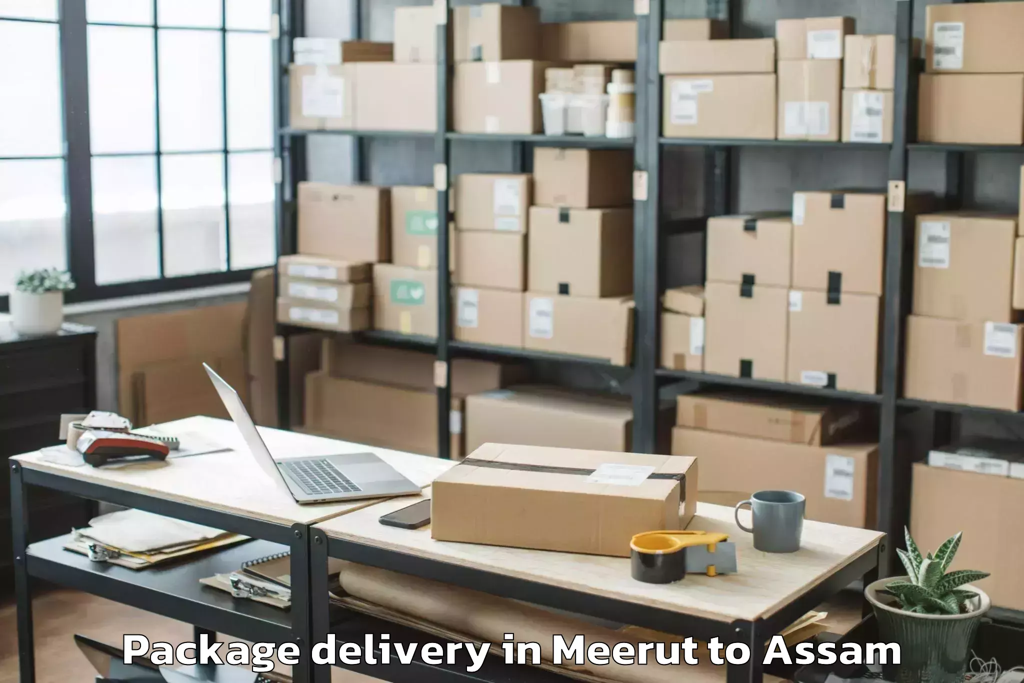 Hassle-Free Meerut to Sarupeta Pt Package Delivery